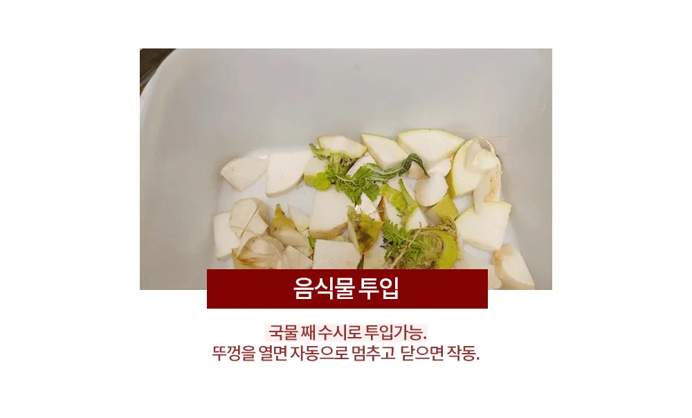 음식물 투입 실사 영상